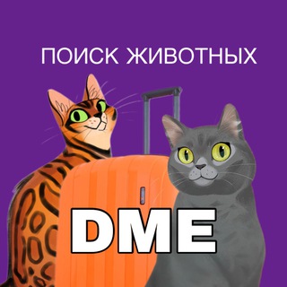 ЗоопоискDME✈️ - потеряшки в аэропорту Домодедово