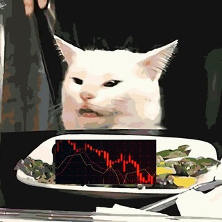 Криптодурка 💊