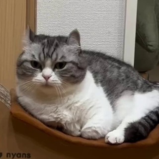 Даниил