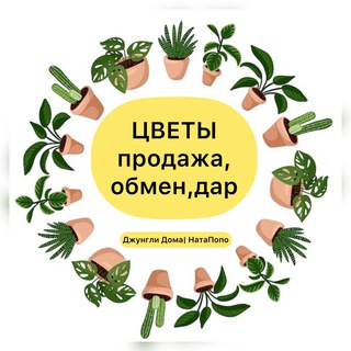 🌵ЦВЕТЫ продажа, обмен, дар