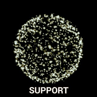 Transcriber Bot Support