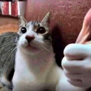 космопропонуйка