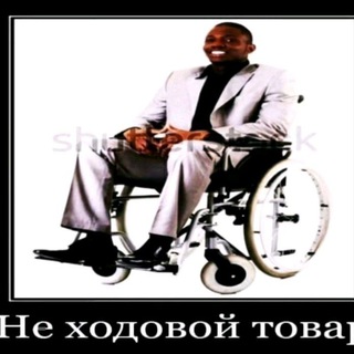 Чат Гномья жизнь 🫡