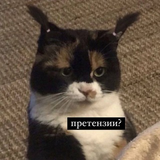 BB