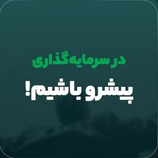 گروه مالی پیشرو