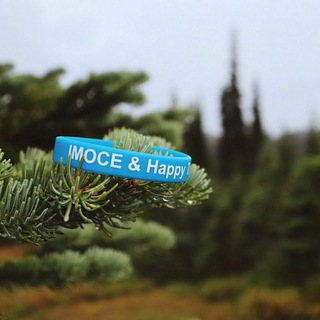 IMOCE Happy time🇺🇦