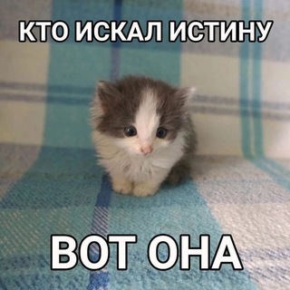 Marlboro Red(Закупаю)