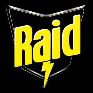 Raids: Bingen am Rhein