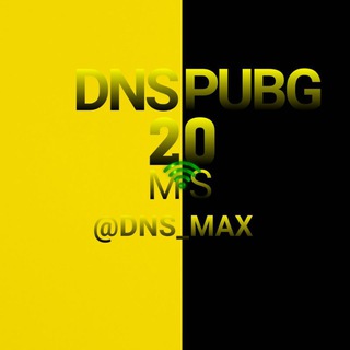 دی ان اس پابجی | DNS PUBG