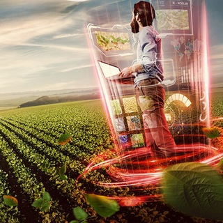 Agrobox
