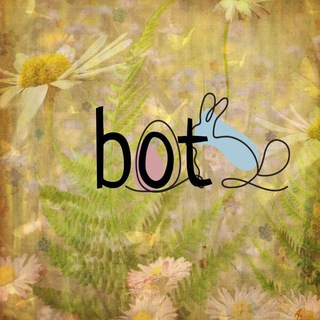 Bunny_rehab