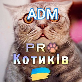PRO ADM