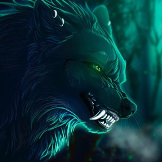 Instrucciones Werewolf