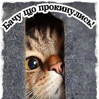 Листiвки Доброго Ранку | Гарного Дня | На Добраніч | Зі святом