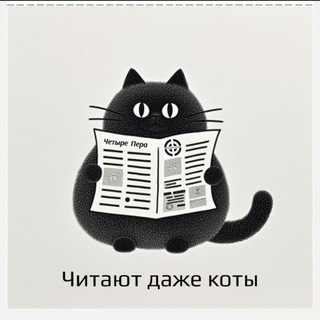 ЧП-FeedBack