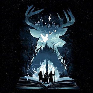 Wizarding World