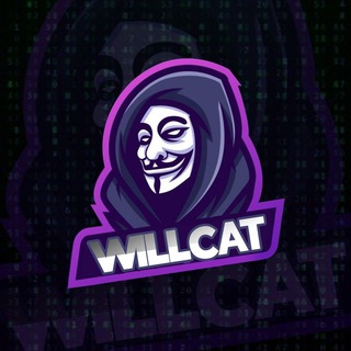 byllicat2022
