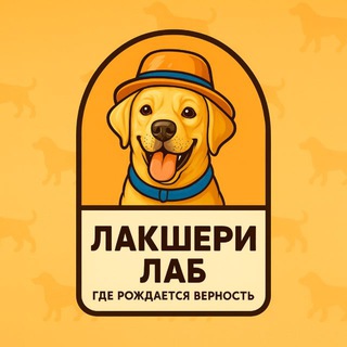 Лакшери лаб