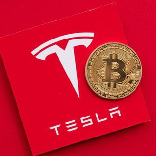 Tesla Stock Investment