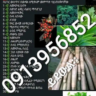 መርጌታ የባህል ህክምናና መድሀኒት ቀማሚ