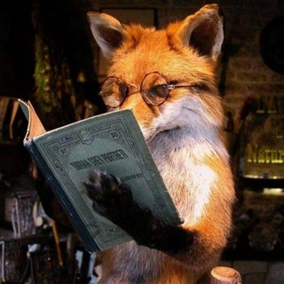 FoxNotes | autopilot