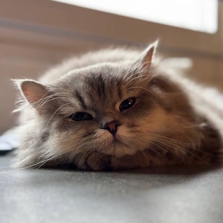 Bita