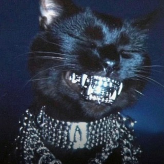 notcatart