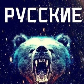 Предмедведоложка