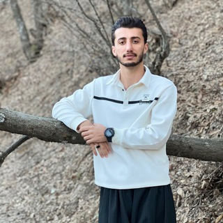 aminpour