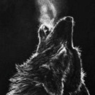 🐺 NIGHT WOLF GANG 🐺