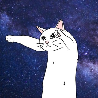 LongCat ETH | $NOBIKO