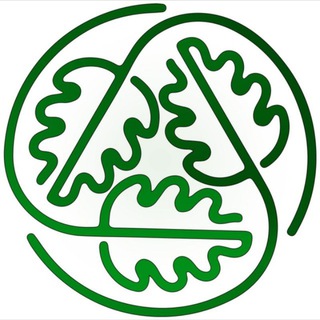 ادمین تیم باوان