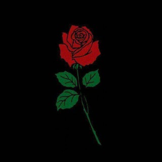 𝑺𝒂𝒆𝒆𝒅 𝑺𝒉𝒂𝒓𝒊𝒇𝒊