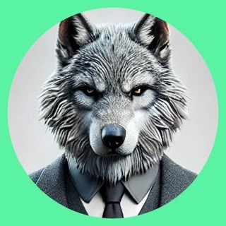 Joe | SpyWolf (Audits + KYC)