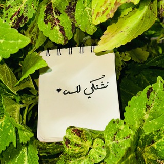 نشتكي لله 🤍🌿