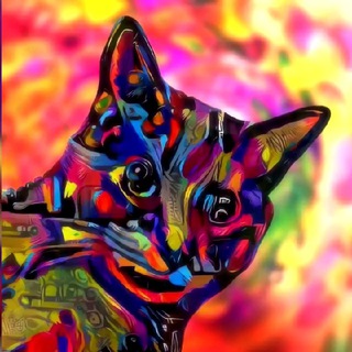 EL GATO