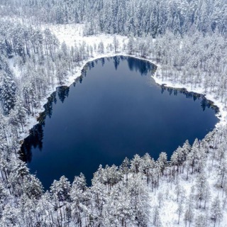 Андрей Остров