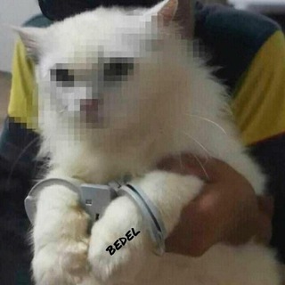 ⁴⁰⁴! ᴳᴿᵁᴾ ᴵˁᴹᴵ ᴮᵁᴸᵁᴺᴬᴹᴬᴰı