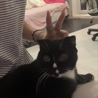 ms