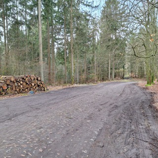 Parkplatztreff Rosengarten