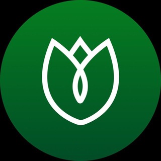 Клуб Алтея