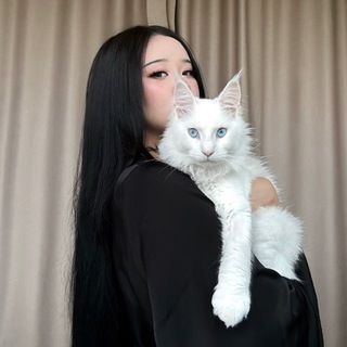 akkizuki ✧˖°.