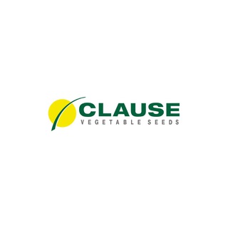 CLАUSE - Владам-Юг