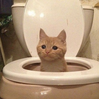 Предложка @dobrotazdec