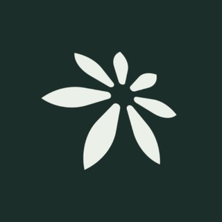 Edel Finance