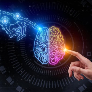 🧠 Cerebro Ilustrado💡⁉️
