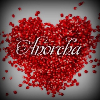 💎 Αηοrchα 💎