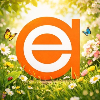 Edu-Action - Study Abroad