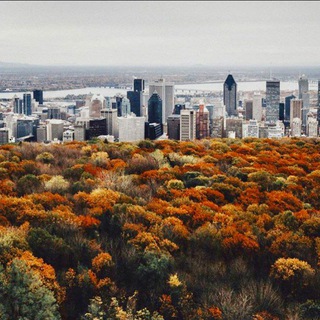 Montréal Daily