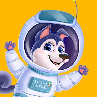 Sirius Future поддержка